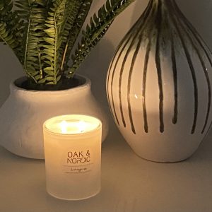 Frangipani Natural Soy Candle (300g)